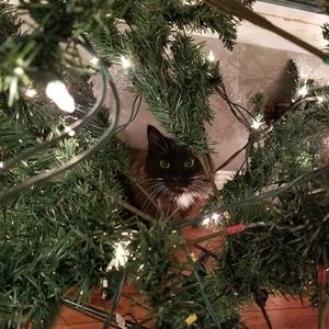 Meet your Posher, Jackalyn