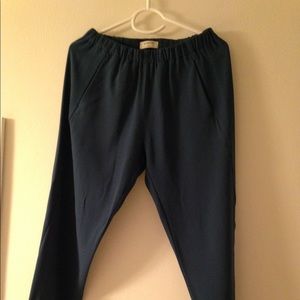 ARITZIA pants. Teal