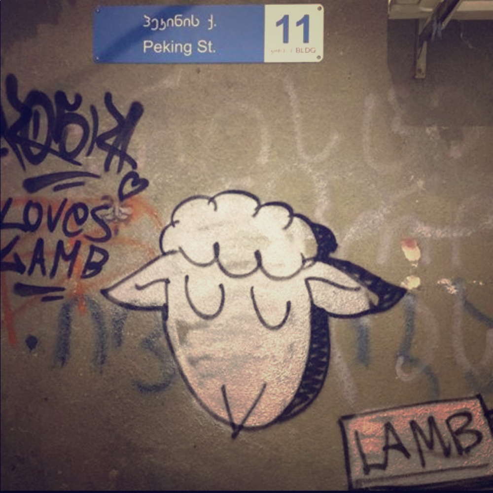 For my fellow Lambie❤️💛💚