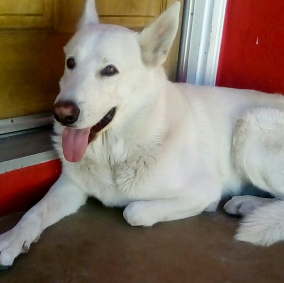 Meet your Posher, Michael - Picture 1 of 1