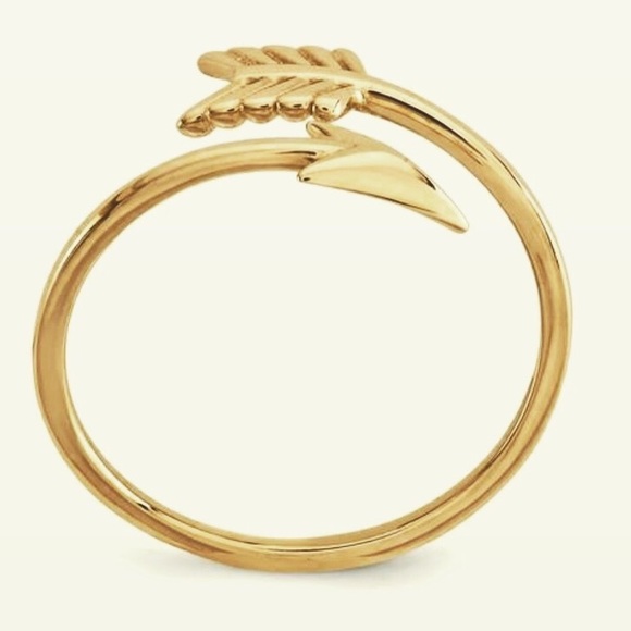14K Yellow Gold Amazing Adjustable Arrow Ring main image 1