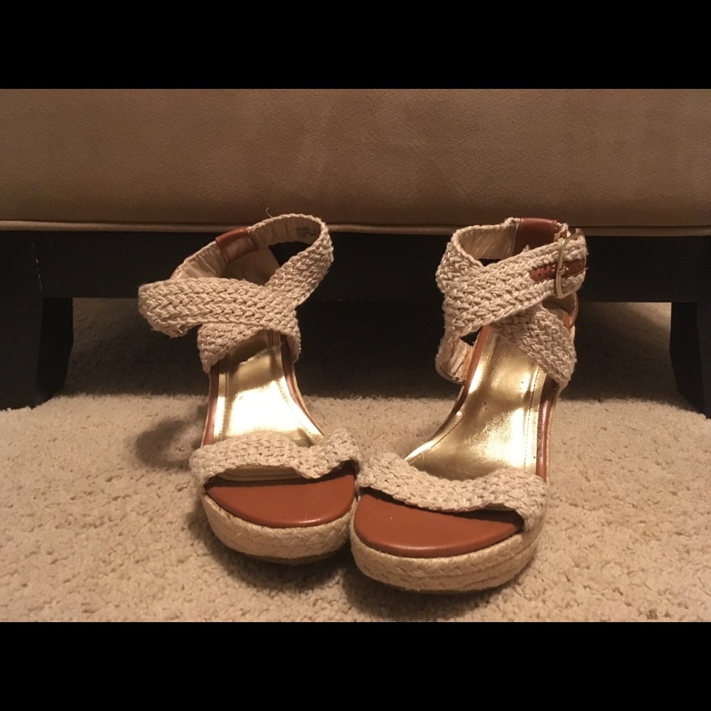 Braided wedges