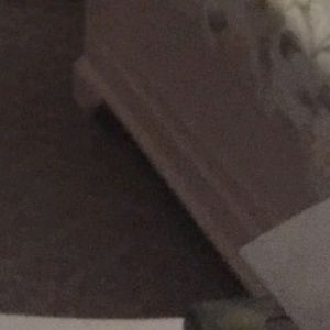 Meet your Posher, Sheyla