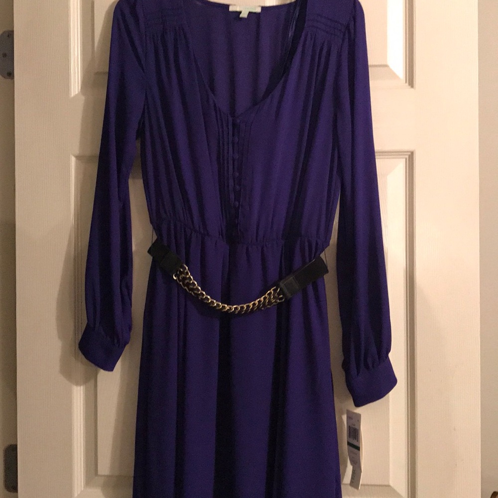 Royal Purple sheer dress with sheath slip dress