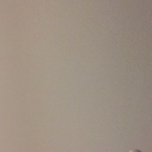 Meet your Posher, Roy