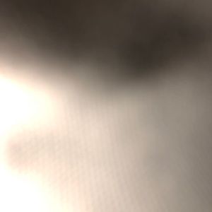 Meet your Posher, Bea