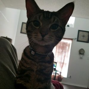 Meet your Posher, Desirae