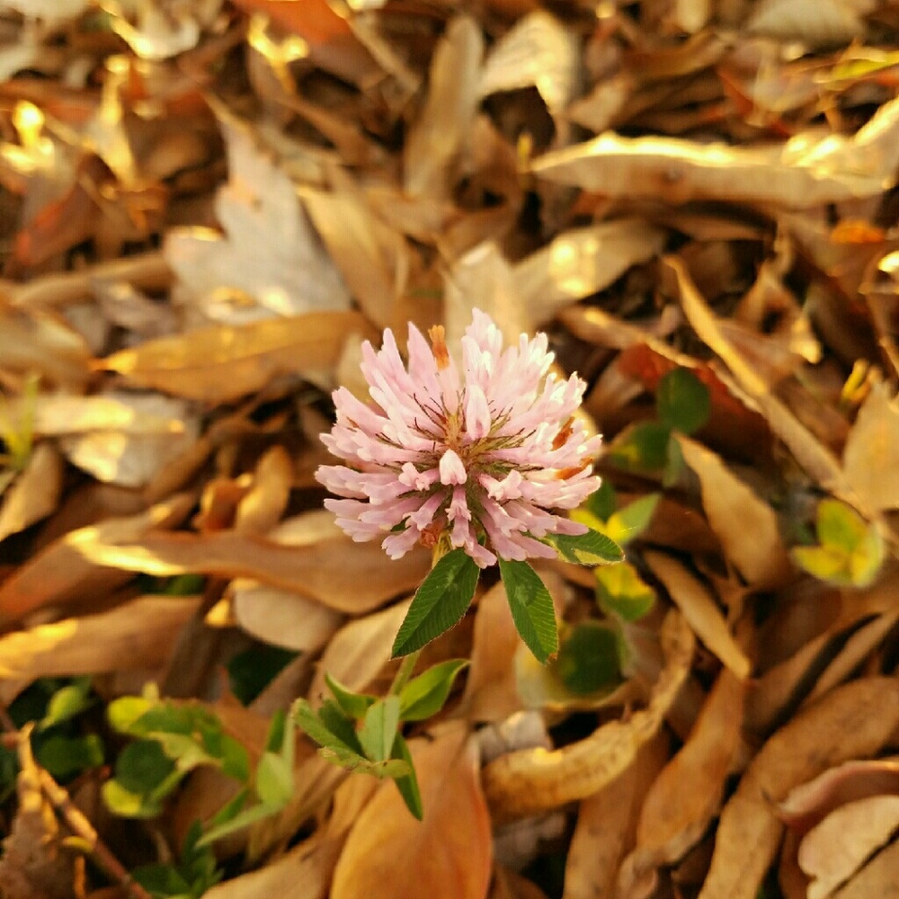 Meet your Posher, Kyha