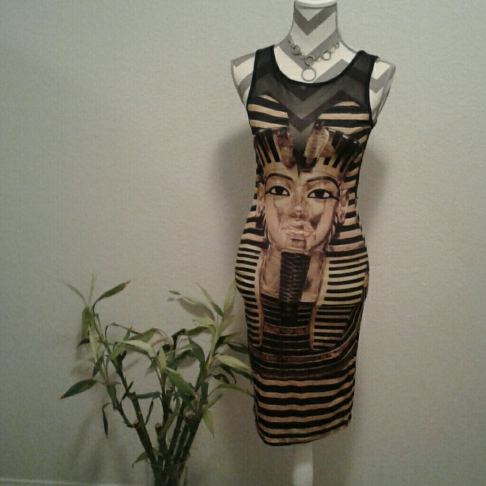 SOLD [NWOT] Sexy Mesh Back Bodycon Dress