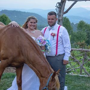 Meet your Posher, Ariel