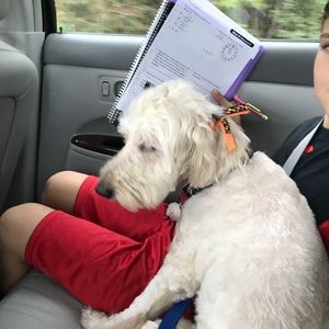 Meet your Posher, Susan