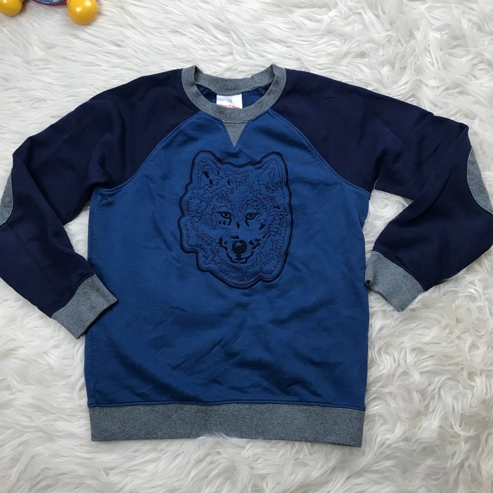 Hanna Andersson sweater size 140 us 10 boys