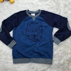 Hanna Andersson sweater size 140 us 10 boys