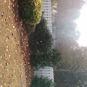 Meet your Posher, Dena