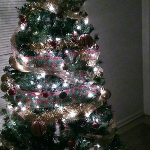 Meet your Posher, Ethel