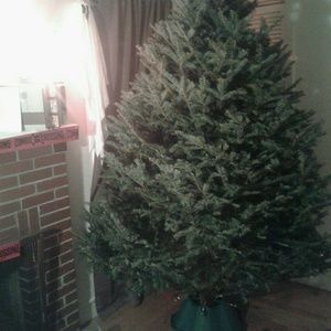 Meet your Posher, Luis