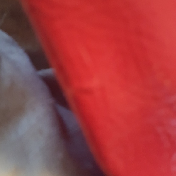 !!!SOLD!!!!!! Large tote bag purse - Picture 8 of 8