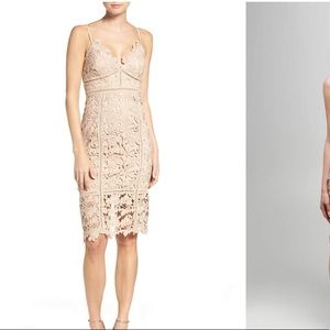 Bardot Botanica Lace Dress