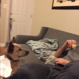 Meet your Posher, Armando