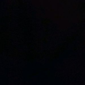 Meet your Posher, Shane