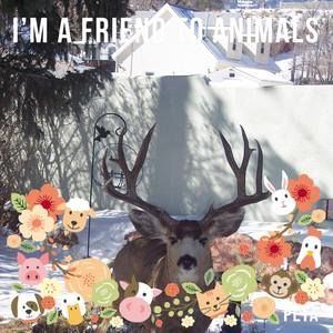 Meet your Posher, Alice