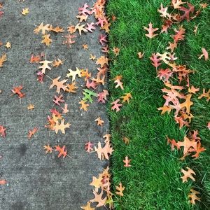 Meet your Posher, Marla