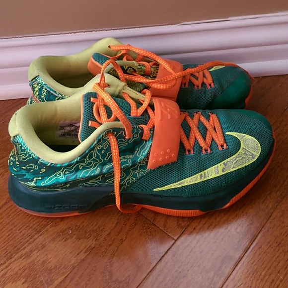 kd v1