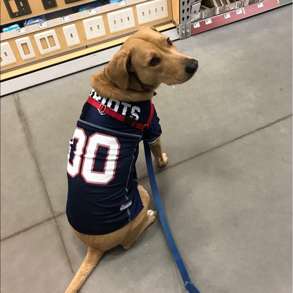 Meet your Posher, Conner