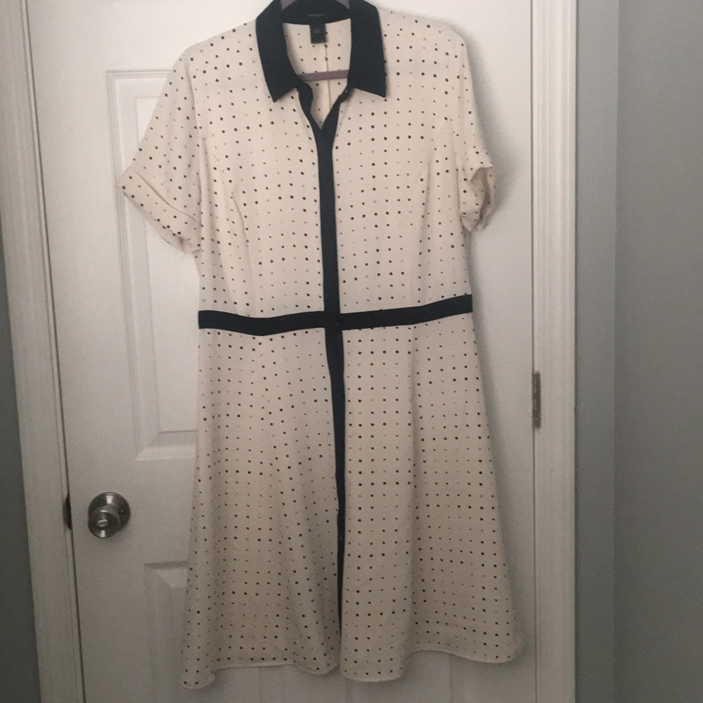 Ann Taylor Polka Dot Shirt Dress