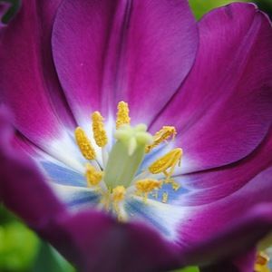 Meet your Posher, Tabitha