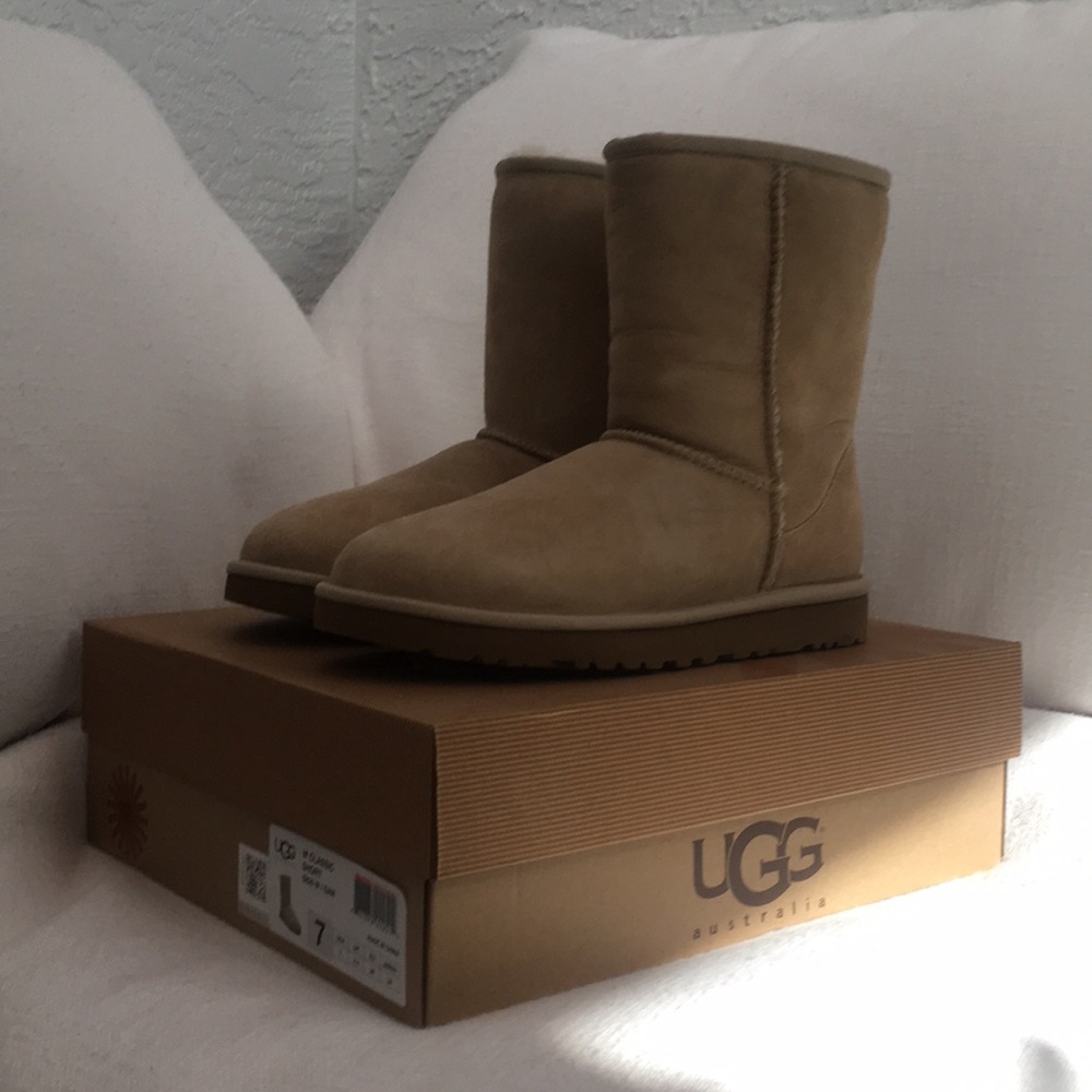 UGG  Classic Short Boots. BNIB!