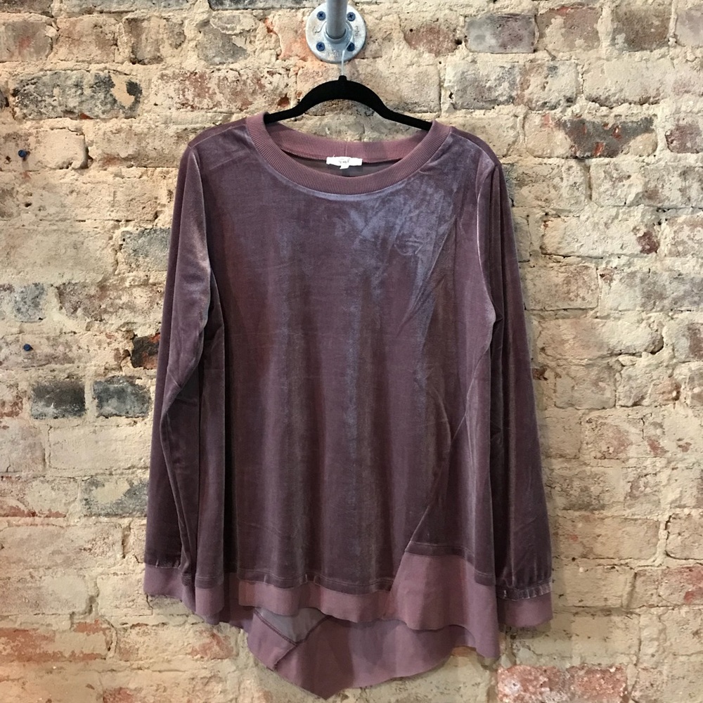 NWT Easel Purple Velvet Long Sleeve