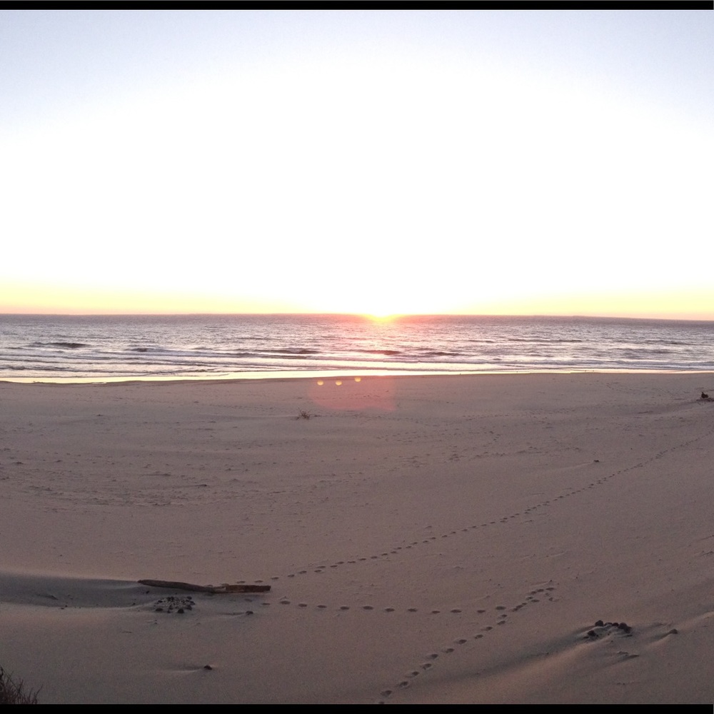 Meet your Posher, Kylan