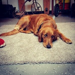 Meet your Posher, Tonya