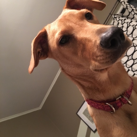 Meet your Posher, Kelly - Picture 1 of 1