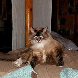 Meet your Posher, Lora