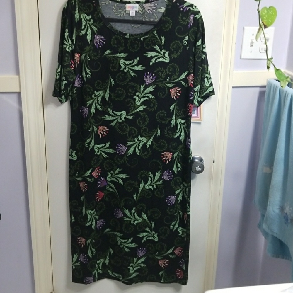 2xl Lularoe Julia dress
