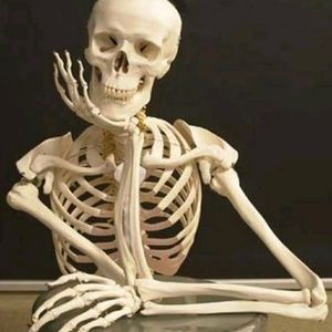 Meet your Posher, Luis