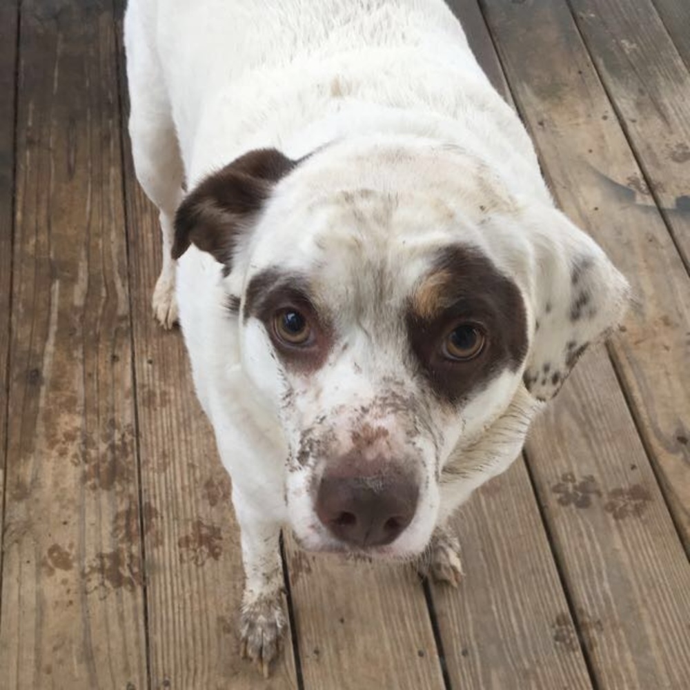 Meet your Posher, Kelsi