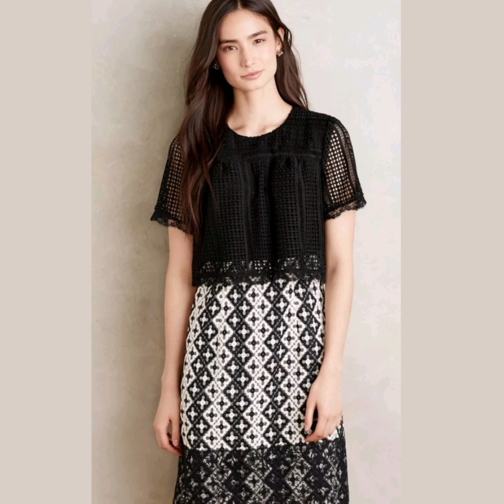 NEW Anthropologie Anna Sui Marne Emnroidered Dress