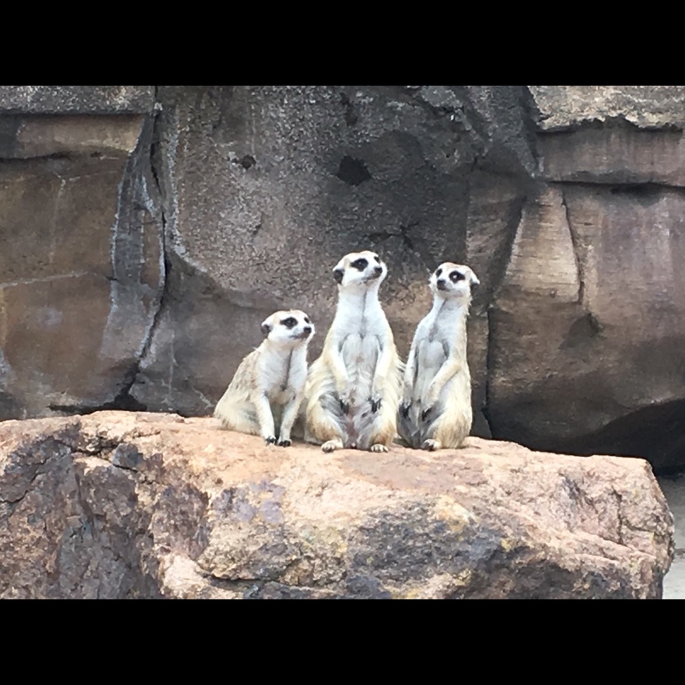 Meet your Posher, Margaret