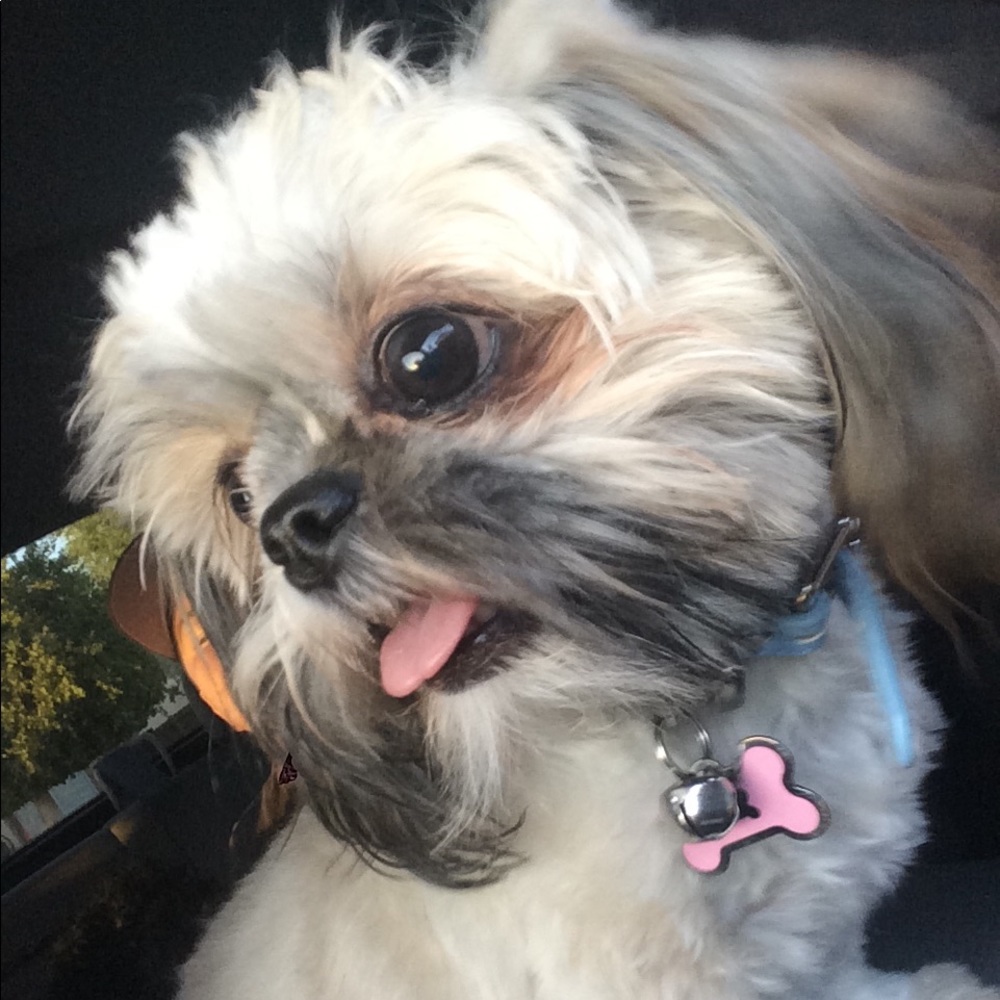 Meet your Posher, Mirozlava