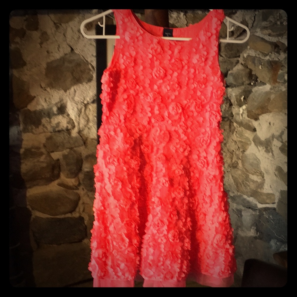 Gorgeous Embroidered Girls Dress