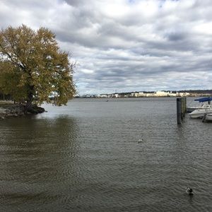 Meet your Posher, Sy