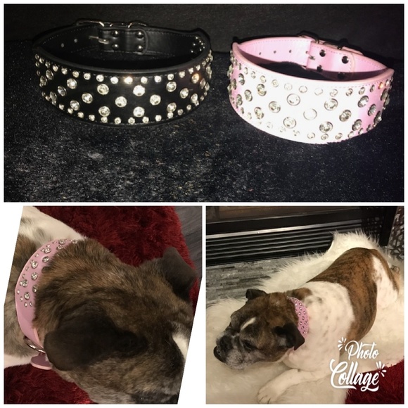 Accessories - 2inch DIAMOND STUDDED DOG COLLAR