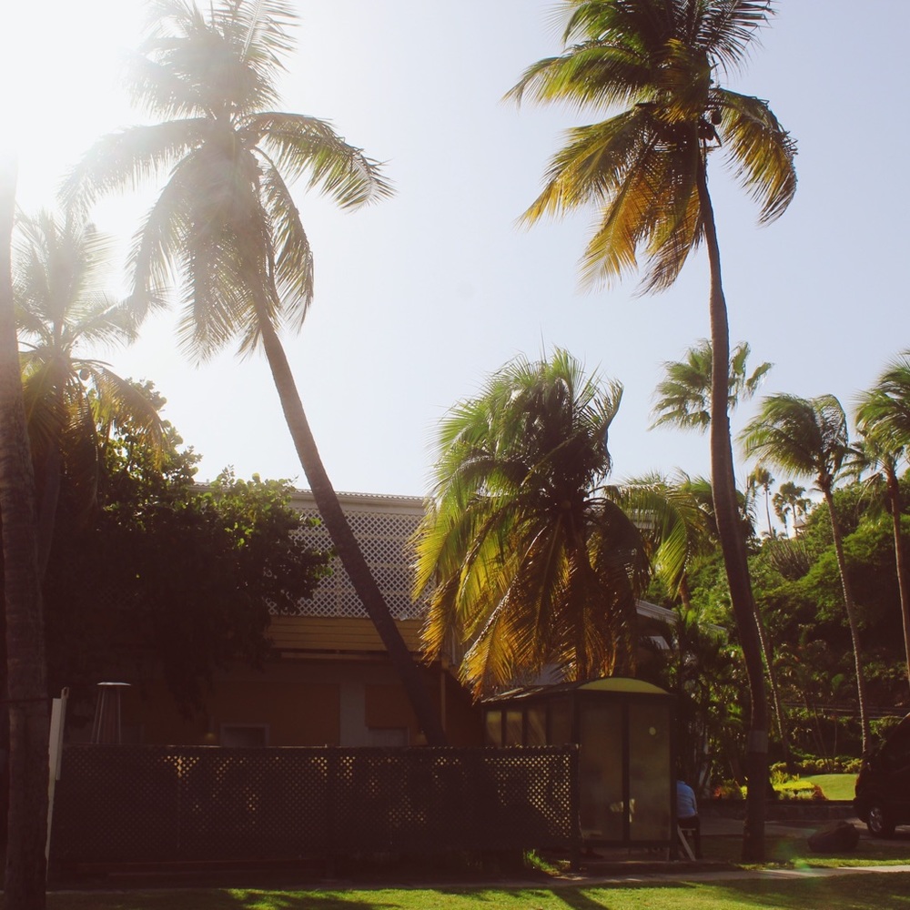 Meet your Posher, Yanna