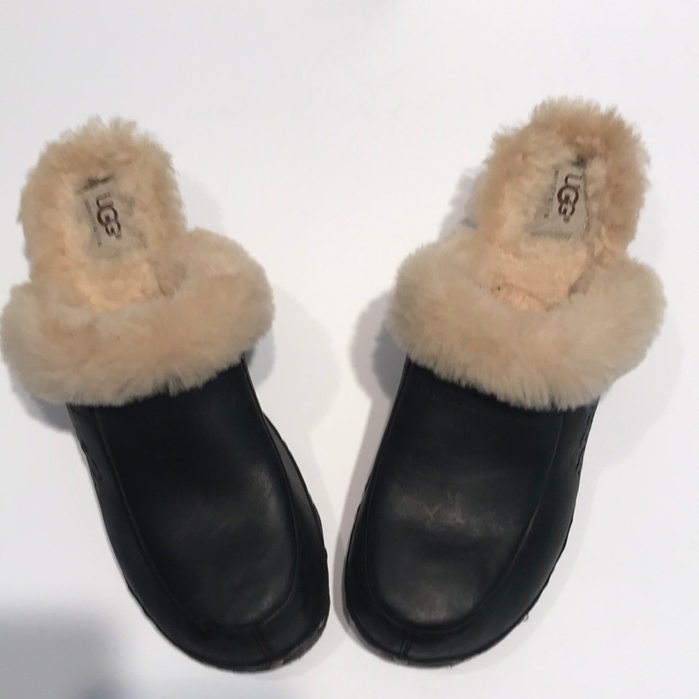Dark navy blue UGG clogs! Brand new!