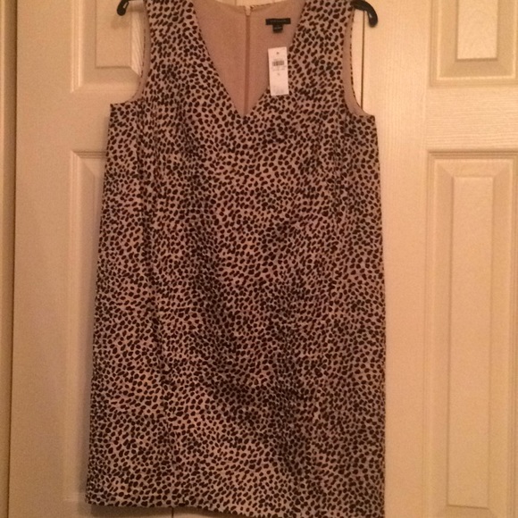 Ann Taylor Dresses & Skirts - Dress