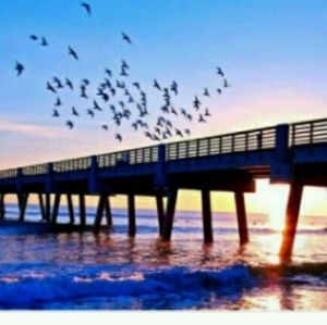 Meet your Posher, Fred