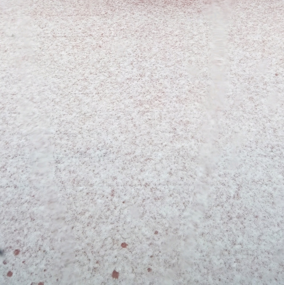 Meet your Posher, Pearl